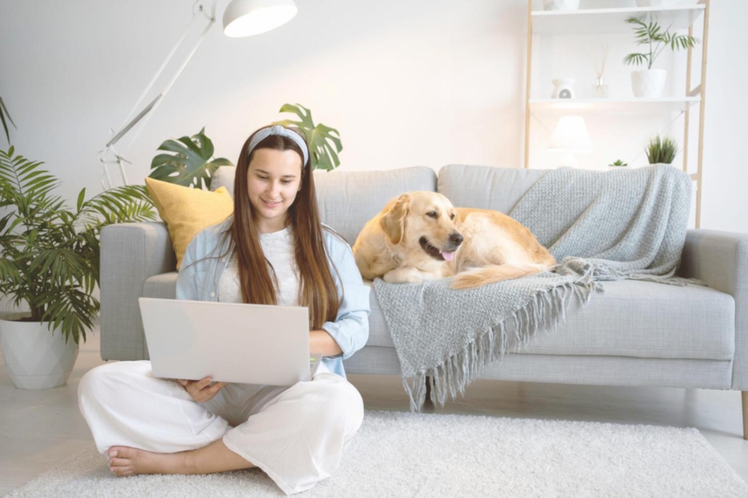 Präsentation von Geschäftsergebnissen vor Unternehmensführung